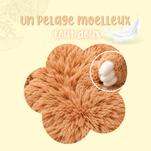 doudou paresseux moelleux