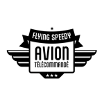 Avion radiocommandé Flying Speedy - TECIN HOLDING – TECIN HOLDING