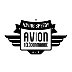 Avion radiocommandé lumineux et étanche Flying Speedy